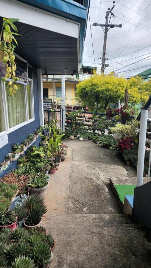 Havilah House Baguio City Extérieur photo
